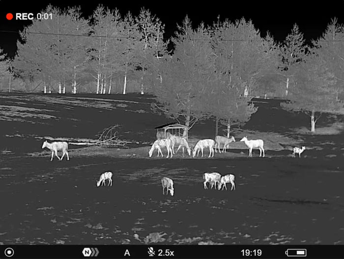 Pulsar Telos XP50 2.5x-10x Thermal Monocular. 640x480